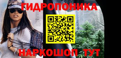 крисы Ирбит