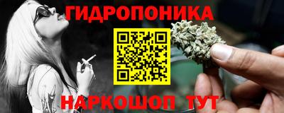 крисы Ирбит
